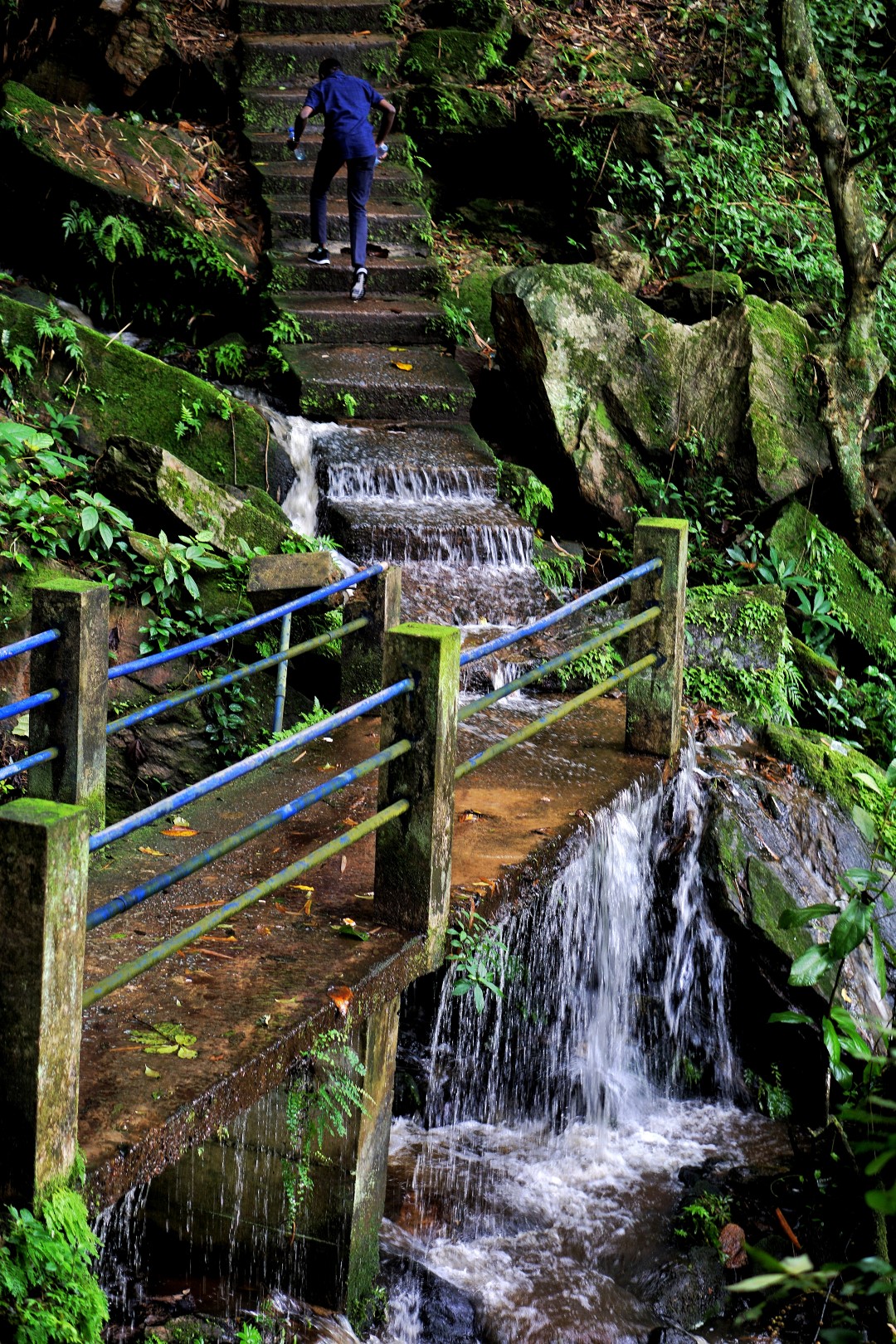 Erin-ijesha-waterfalls-3